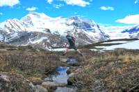 Banff to Jasper One-Way Tour