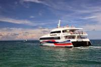 Bangkok to Koh Tao Transfer by Coach and High Speed Catamaran