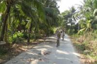 Bangkok Tour by Boat and Bike