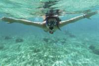 Barbados Snorkel Adventure in Carlisle Bay