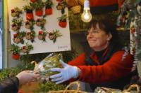 Barcelona Christmas Market Walking Tour