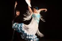 Barcelona Gourmet Tapas Walking Tour and Flamenco Show