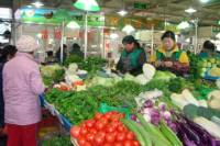Be A Real Beijinger For A Day: Tai chi, Dumpling Making and Cycling in Hutongs
