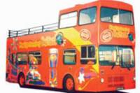 Belfast Shore Excursion: Hop-On Hop-Off Tour
