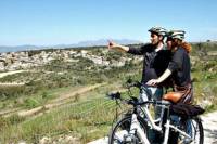 Bike Tour Through the Penedès Wineries