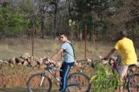 Biking Day Tour in Bandhavgarh