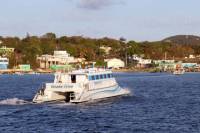 Bioluminescent Bay Catamaran Cruise with Dinner