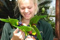 Bird Kingdom All Day Admission Ticket