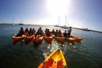 Birthday Wave Break Island Kayak Tour from the Gold Coast