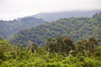 Blue Mountain Bicycle Tour from Montego Bay