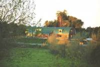 Blueberry Orchard and Winery Tour