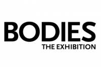 Bodies The Exhibition at the Luxor Hotel and Casino