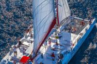 Bol and Brac Party Catamaran with Food and Drinks from Split