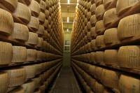 Bologna Food Experience: Parmigiano Reggiano Factory Visit, Wine and Vinegar Tasting and Lunch from Florence