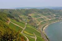 Boppard Icewine and 30 minutes Wine Tasting