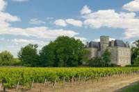 Bordeaux Shore Excursion: Full-Day Private Medoc Wine Tour
