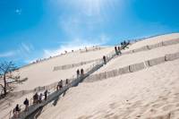 Bordeaux Super Saver: Small-Group Trip to Arcachon with Oyster Tasting and Lunch plus Médoc Wine Tour