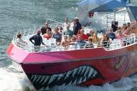 Boston Codzilla: Thrill Boat Ride