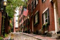 Boston  Day Trip from New York by Amtrak with Japanese Guide - Mybus