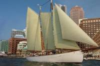 Boston Tall Ship Day Cruise