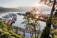 Brentwood Bay Kayak Tour and Restaurant Lunch