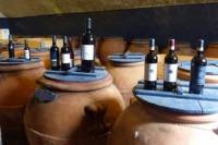 Brunello di Montalcino Wine Tour from Florence with Lunch