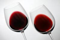 Budapest Downtown Wine Tasting Tour
