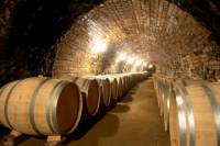 Budapest Food and Wine Tasting Tour