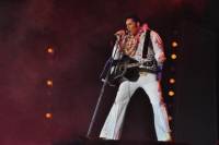 Burn'n Love Waikiki Elvis Presley Show