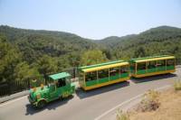 Butterfly Train in Rhodes