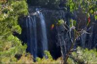 Byron Bay Hinterland Tour Including Rainforest Walk to Minyon Falls