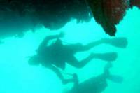 Cabo San Lucas 2 Tank Customized Dive
