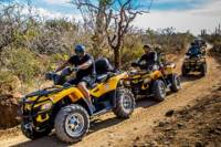 Cabo San Lucas and Margaritas Beach 4x4 ATV Adventure