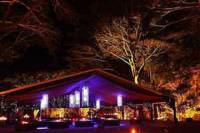 Cairns Flames of the Forest Dining Experience