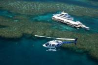 Cairns Shore Excursion: Great Barrier Reef and Rainforest Helicopter Tours