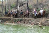 Camel Ride Tour in Rosarito