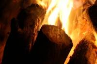 Campfire Lunch and Show