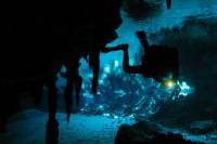 Cancun 2-Tank Cenote (Cave) Dive