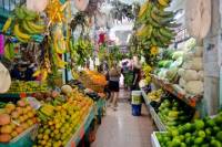 Cancun Food and Markets Tour Plus Cooking Class