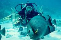 Cancun Resort Scuba Diving Course