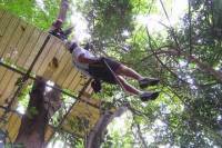 Canopy Zip Line and Safari Tour from Falmouth