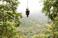 Canopy Zipline Eco-Adventure Tour from San Jose