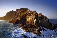 Cape Point and Peninsula Tour from Cape Town