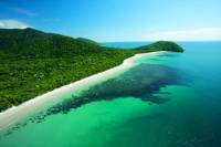 Cape Tribulation, Mossman Gorge, and Daintree Rainforest Day Trip from Cairns or Port Douglas