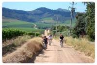 Cape Winelands Cycle Tour and Wine Tasting from Stellenbosch