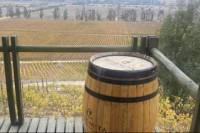 Casablanca Valley Wine Tour from Santiago