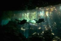 Cenotes and Caverns 2-Tank Dive Tour