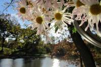 Central Park Hidden Secrets Tour
