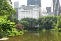 Central Park TV and Movie Sites Walking Tour