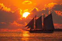Champagne Celebration Sunset Cruise